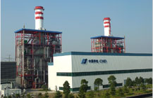 大蔥蟲害解決方案